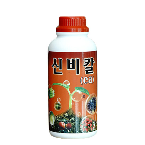 신비칼(ca)
